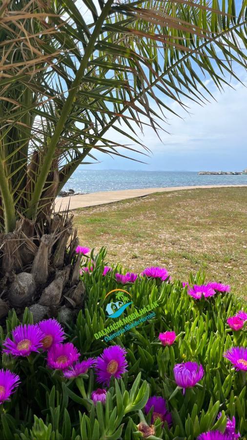 Lakokocsik A Tengerparton - Caravans At The Sandy Beach Privlaka  Εξωτερικό φωτογραφία